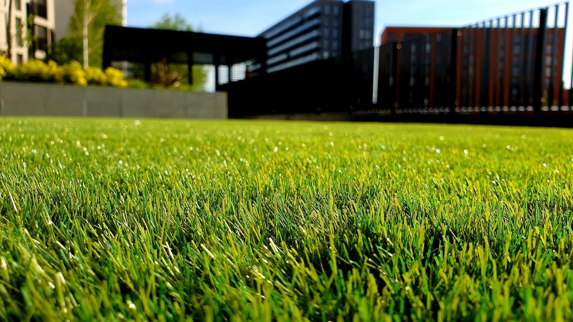 Lawn care hero